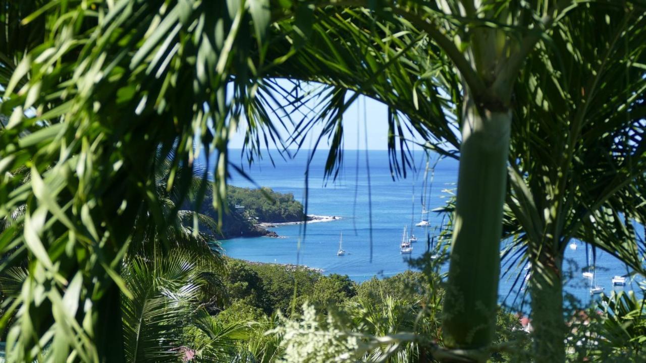 O Coeur De Deshaies Appartements Grande Anse Et Amandiers Exterior foto
